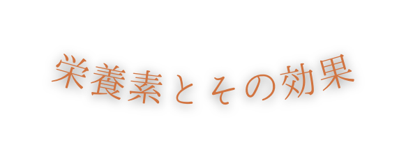 栄養素とその効果